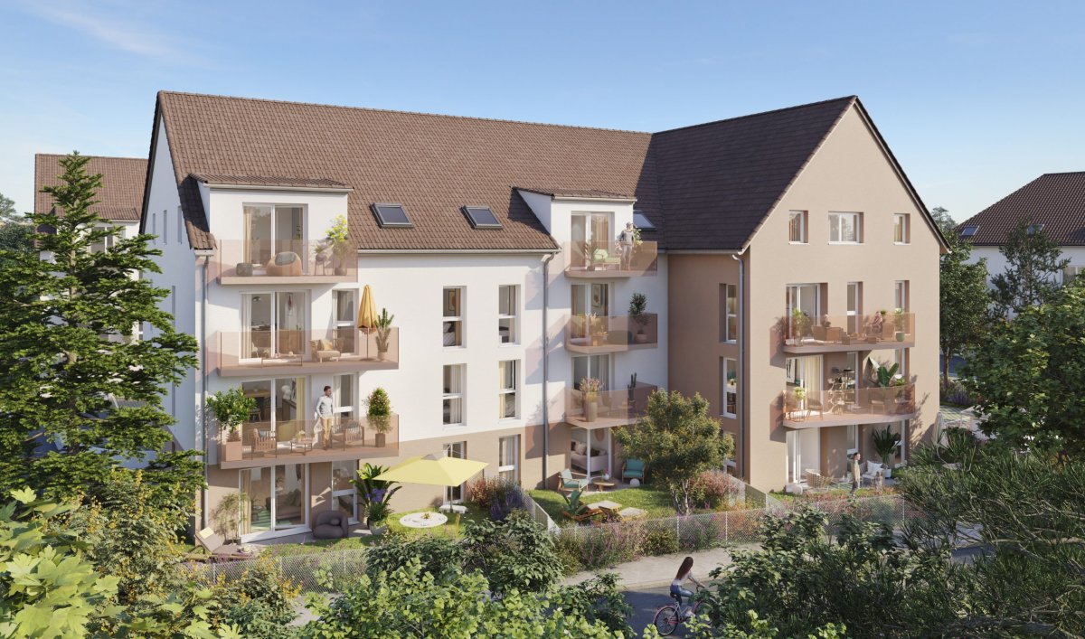 ECLAT DE VIGNE