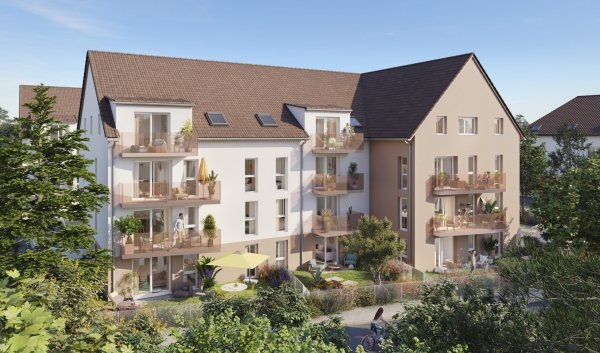 ECLAT DE VIGNE